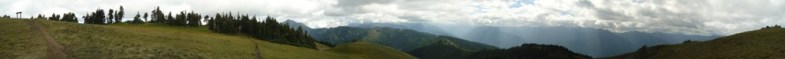 Hurricane Hill Nature Trail, Olympic National Park