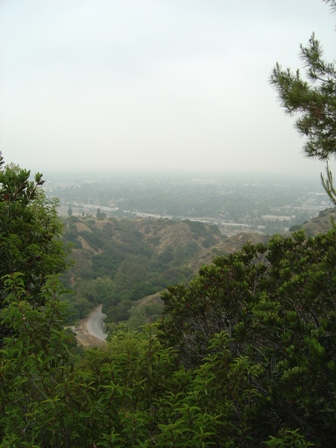 hollywood hills, griffith park, los angeles