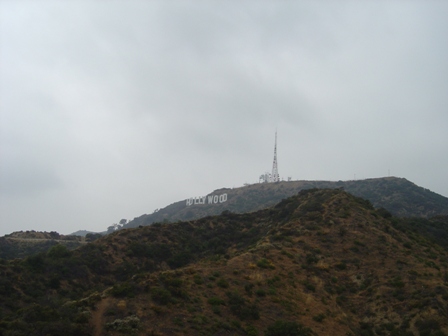 hollywood hills and sign