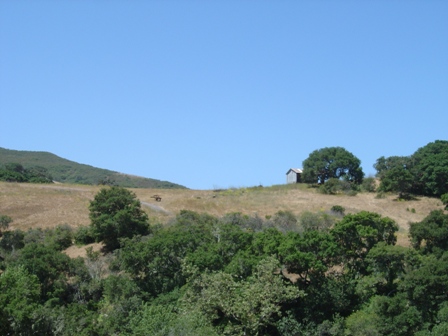 pacific coast highway rolling countryside