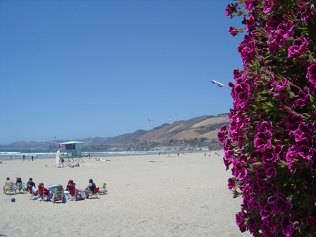 flowers and hills at pismo beach, california