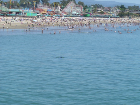 people on the beach at the boardwalk, santa cruz