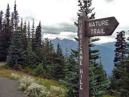 Hurricane Hill Nature Trail, Olympic National Park