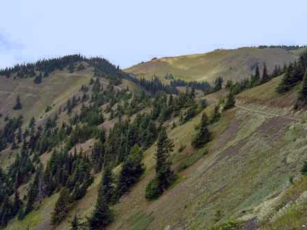 Hurricane Hill Nature Trail, Olympic National Park