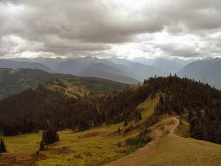 Hurricane Hill Nature Trail, Olympic National Park