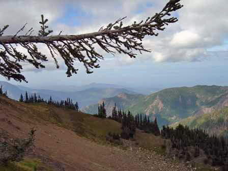 Hurricane Hill Nature Trail, Olympic National Park