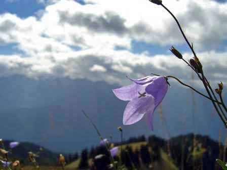 Hurricane Ridge, Olympic National Park