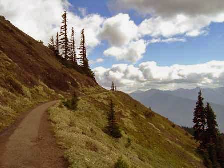 Hurricane Hill Trail, Olympic National Park