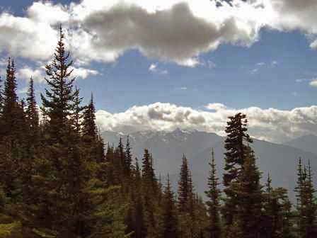 Hurricane Ridge, Olympic National Park