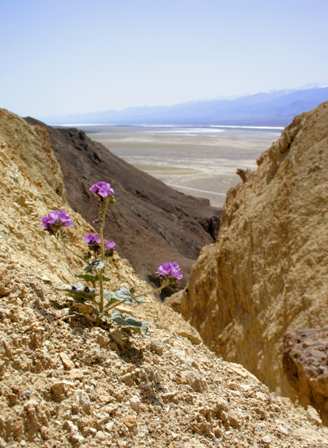 Golden Canyon, Death Valley National Park