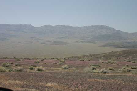 Ubehebe Crater, Death Valley National Park