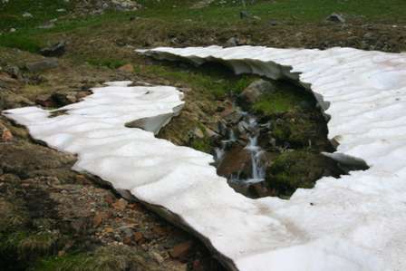 melting snow shelf, san juan mountains