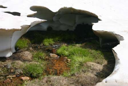 melting snow shelf, san juan mountains