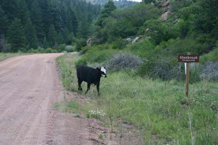 townsite of glenbrook, phantom canyon road