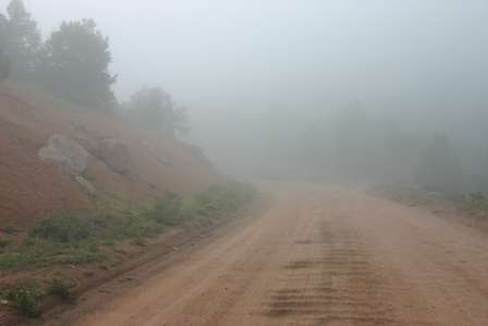 Fog, gold camp road victor cripple creek colorado