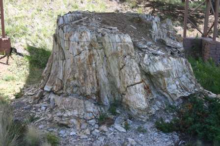 petrified tree stump, Florissant Fossil Beds National Monument