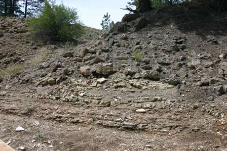 fossilized rock, Florissant Fossil Beds National Monument